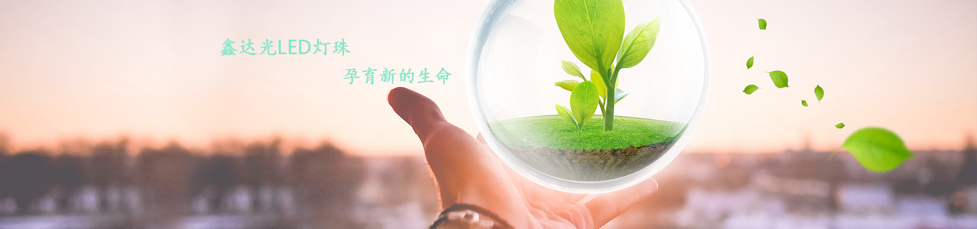 5050灯珠